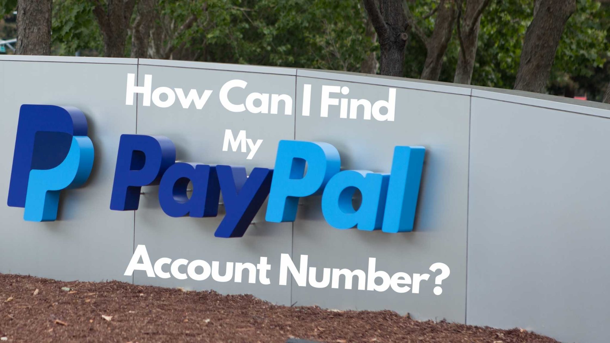 my paypal account please
